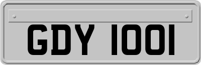 GDY1001