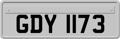 GDY1173