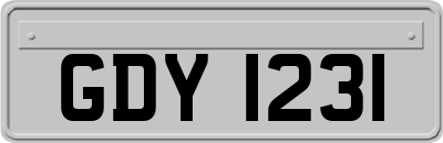 GDY1231