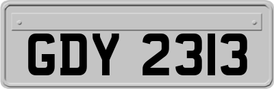 GDY2313