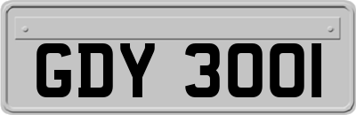 GDY3001
