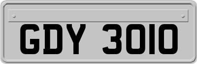 GDY3010