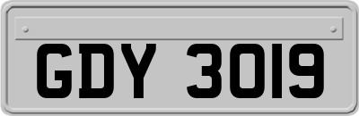 GDY3019