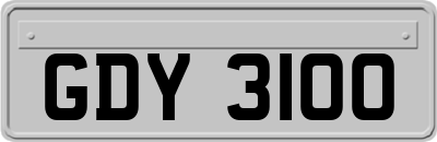 GDY3100
