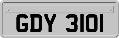 GDY3101
