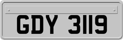 GDY3119