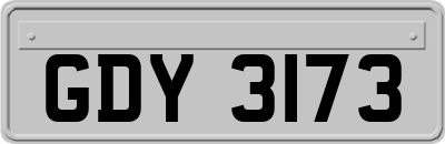 GDY3173