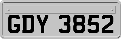 GDY3852