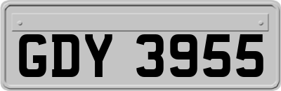 GDY3955