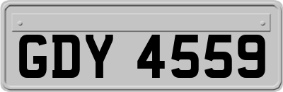 GDY4559