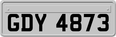 GDY4873
