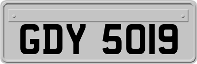 GDY5019