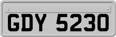 GDY5230