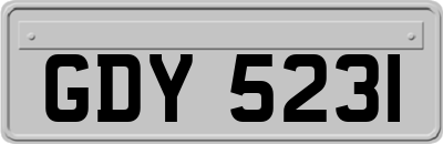 GDY5231