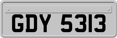 GDY5313