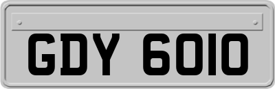 GDY6010