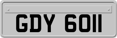 GDY6011
