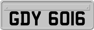 GDY6016