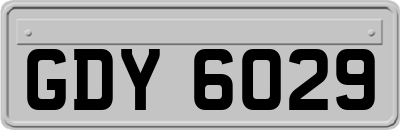 GDY6029