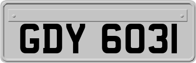 GDY6031