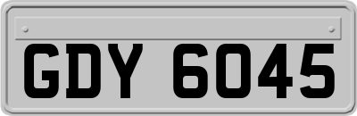 GDY6045