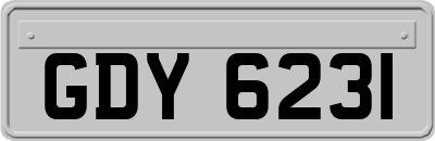 GDY6231