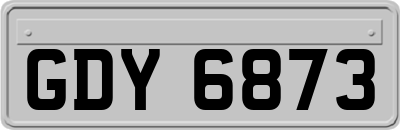 GDY6873
