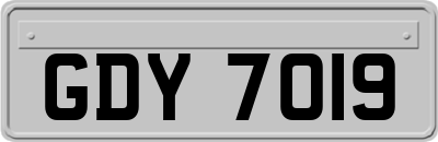 GDY7019
