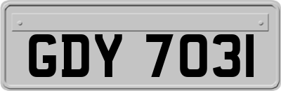 GDY7031