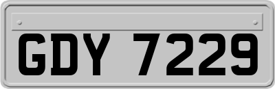 GDY7229