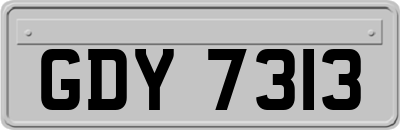 GDY7313