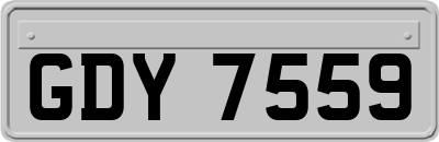 GDY7559
