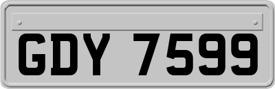 GDY7599