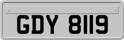 GDY8119