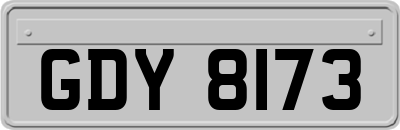 GDY8173