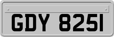 GDY8251