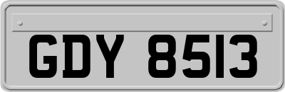 GDY8513
