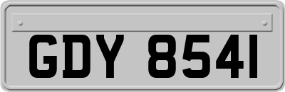 GDY8541