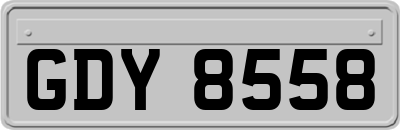 GDY8558