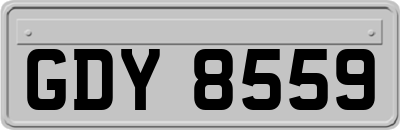 GDY8559