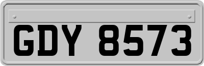 GDY8573