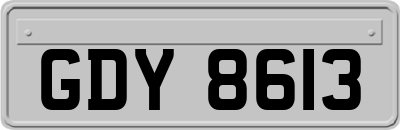 GDY8613