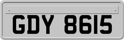 GDY8615