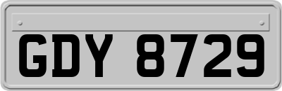 GDY8729