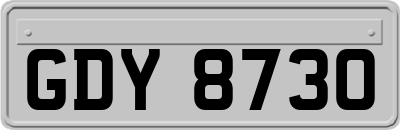 GDY8730