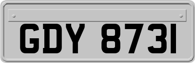 GDY8731