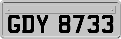 GDY8733