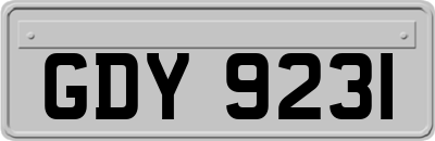 GDY9231