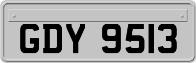 GDY9513