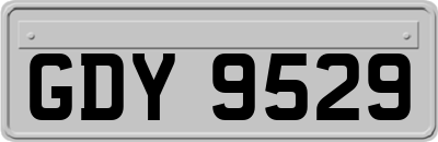 GDY9529